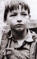 Actor David Bradley - filmography and biography.