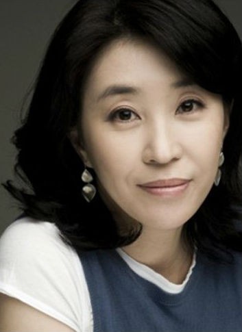 Actress Kim Mi Kyung - filmography and biography.