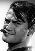 Actor Larry Storch - filmography and biography.