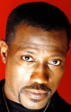 Actor, Producer Wesley Snipes - filmography and biography.