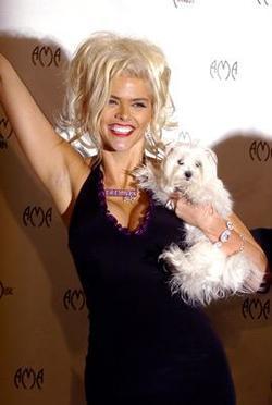 Anna Nicole Smith - best image in biography.