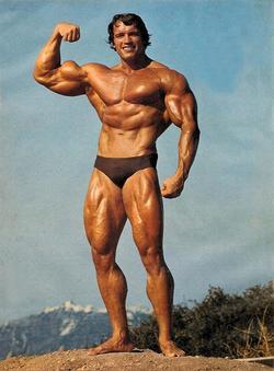 Arnold Schwarzenegger - best image in filmography.