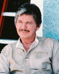 Charles Bronson - best image in filmography.