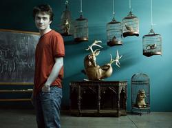 Daniel Radcliffe - best image in biography.