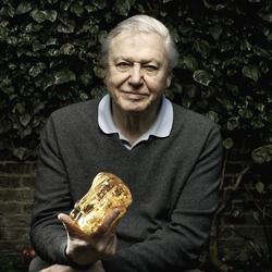 David Attenborough - best image in filmography.