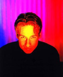 David Duchovny - best image in biography.