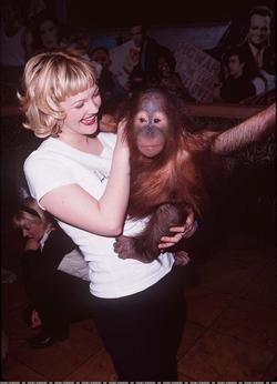 Drew Barrymore - best image in biography.