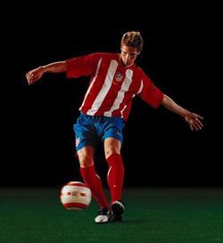 Fernando Torres - best image in biography.