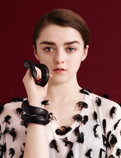Maisie Williams - best image in biography.
