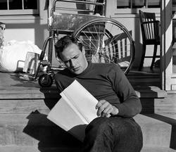 Marlon Brando - best image in biography.