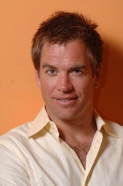 Michael Weatherly - best image in filmography.