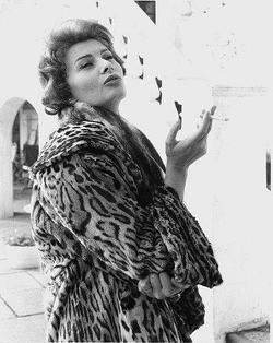 Sophia Loren - best image in biography.