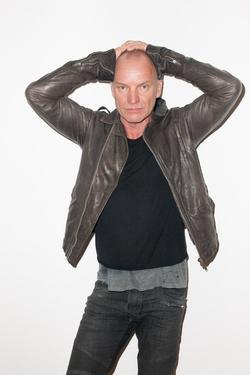 Sting - best image in filmography.