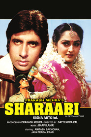 Sharaabi movie in Dinesh Hingoo filmography.
