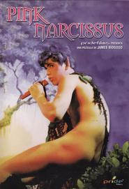 Pink Narcissus movie in Charles Ludlam filmography.