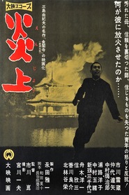 Enjo movie in Jun Hamamura filmography.