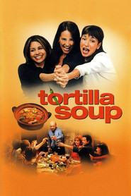 Tortilla Soup movie in Nikolai Kinski filmography.