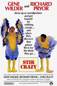 Stir Crazy movie in Joel Brooks filmography.