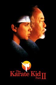 The Karate Kid, Part II movie in Ralph Macchio filmography.