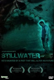 Stillwater is the best movie in Endryu Hals filmography.