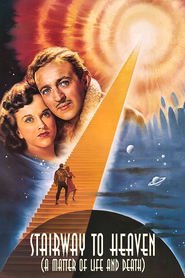 A Matter of Life and Death movie in David Niven filmography.