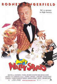 Meet Wally Sparks movie in Burt Reynolds filmography.