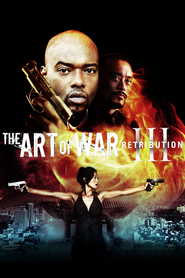 The Art of War 3: Retribution is the best movie in Simon Rhee filmography.