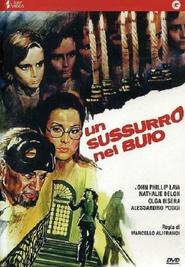 Un sussurro nel buio is the best movie in Nathalie Delon filmography.