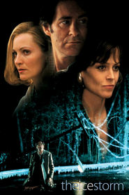 The Ice Storm movie in Christina Ricci filmography.