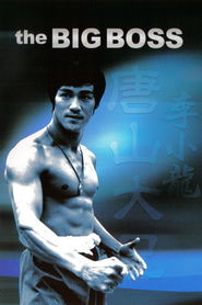 Tang shan da xiong movie in Tony Liu filmography.