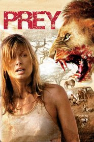 Prey is the best movie in Ashley Taylor filmography.