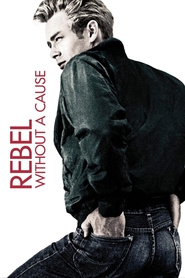 Rebel Without a Cause movie in Dennis Hopper filmography.