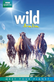 Wild Arabia is the best movie in Elizabeth White filmography.