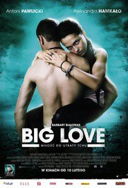 Big Love is the best movie in Borys Szyc filmography.