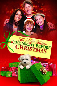 Night Before the Night Before Christmas movie in Marcia Bennett filmography.