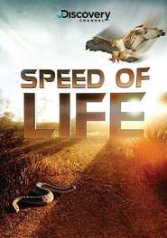 Speed of Life movie in Mayk Klarkson filmography.