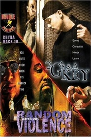 2 G's & a Key is the best movie in Conroe Brooks filmography.