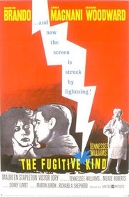 The Fugitive Kind movie in Joanne Woodward filmography.