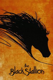 The Black Stallion is the best movie in John Buchanan filmography.