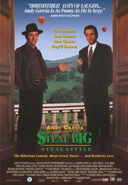 Steal Big Steal Little is the best movie in Andy Garcia filmography.