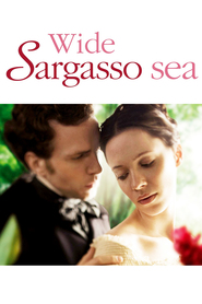 Wide Sargasso Sea movie in Nina Sosanya filmography.