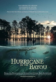 Hurricane on the Bayou movie in Bear Bordo filmography.