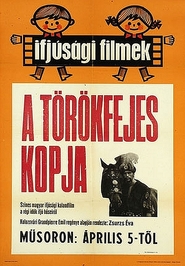 A torokfejes kopja movie in Marta Fonay filmography.