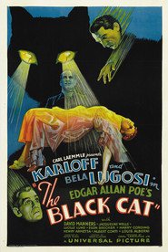 The Black Cat movie in Virginia Ainsworth filmography.