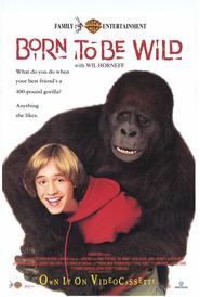 Born to Be Wild is the best movie in Wil Horneff filmography.