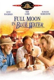 Full Moon in Blue Water is the best movie in Teri Garr filmography.