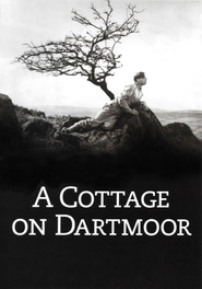 A Cottage on Dartmoor movie in Hans Adalbert Schlettow filmography.