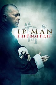 Ip Man: The Final Fight movie in Jordan Chan filmography.
