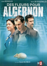 Des fleurs pour Algernon is the best movie in Olivier Perrier filmography.