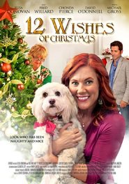 12 Wishes of Christmas movie in Gabrielle Carteris filmography.